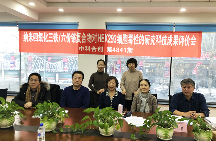 纳米四氧化三铁 六价铬复合物对HEK293细胞毒性的研究 anli.jpg